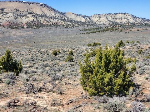 Located in the heart of Moffat County, this 320 +/- acre property offers a gentle landscape which lies within the Bald Mountain Basin at the base of Godiva Rim. The land is comprised of rolling sagebrush hills dotted with sporadic cedar trees and fea...