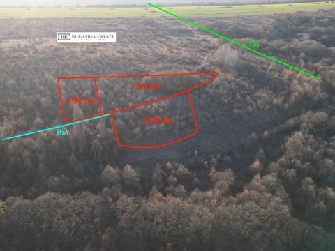 ID 20166861 Oferujemy do sprzedaży 3 działki w miejscowości Bliznatsi o łącznej powierzchni 22 542 mkw. Działki znajdują się w odległości spaceru od głównej drogi i morza. Można je również kupić osobno. Aby uzyskać więcej informacji, zadzwoń. Pokój ....