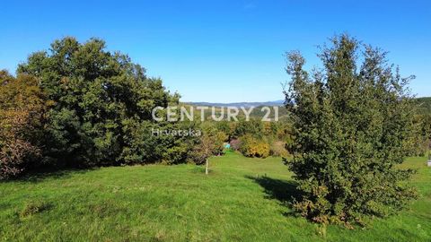 MOTOVUN, BOUWGROND OP EEN PRACHTIGE LOCATIE Bouwgrond, met een totale oppervlakte van 1449 m2, gelegen in het charmante dorpje Motovun, is te koop. Deze bouwkavel biedt dankzij de ligging en omvang een uitzonderlijke kans voor ontwikkeling. Gelegen i...