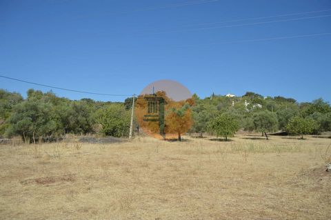 Terreno rústico com 7 hectares localizado no Desbarato, entre Santa Catarina da Fonte do Bispo e S. Brás de Alportel. Local ideal para um turismo rural, parque de caravanismo, projeto agrícola ou outras opções. Sobre Santa Catarina da Fonte do Bispo ...