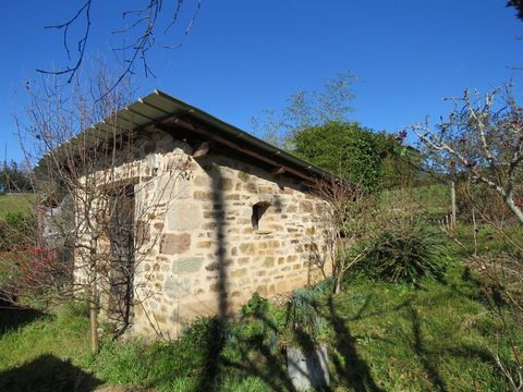 photo no. 12