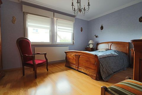 photo no. 8
