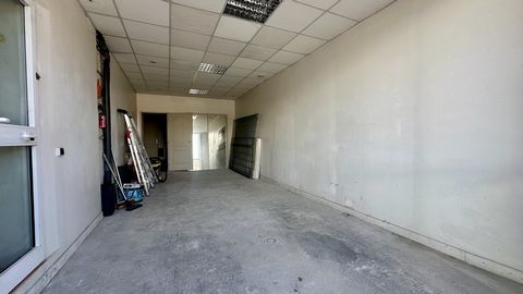 photo no. 5
