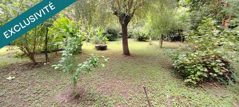 photo no. 11