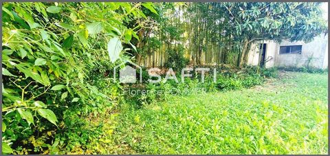 photo no. 10