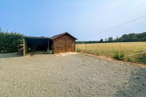 photo no. 12