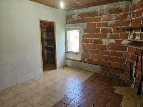 photo no. 14