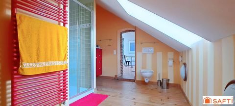 photo no. 12