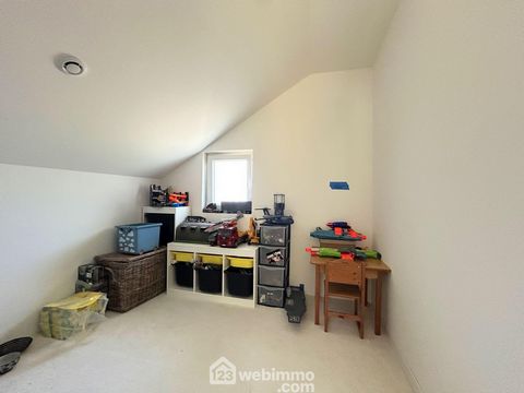 photo no. 12