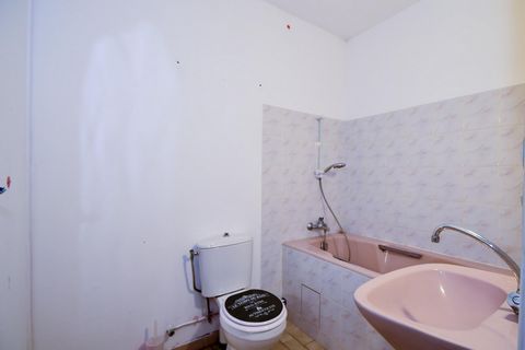 photo no. 8