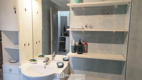 photo no. 11