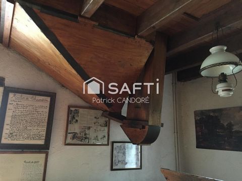 photo no. 10