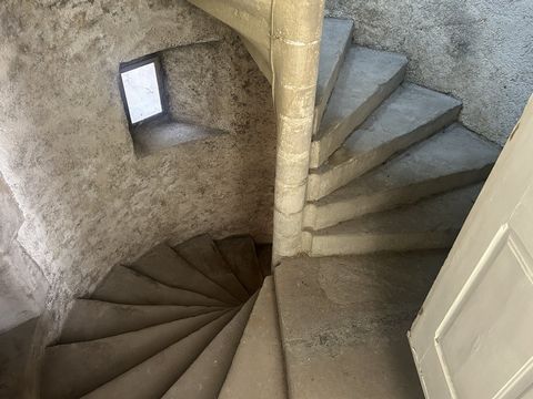photo no. 15