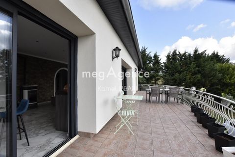 photo no. 8
