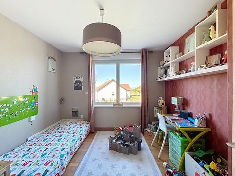 photo no. 6