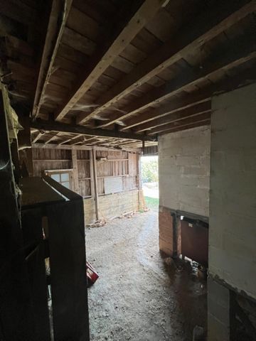 photo no. 15