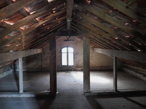 photo no. 8