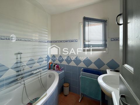 photo no. 11