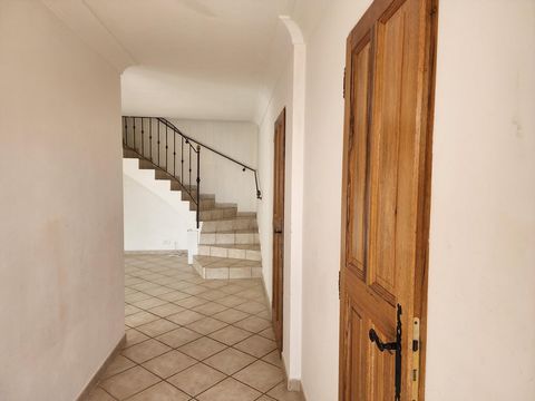 photo no. 9