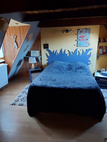 photo no. 8