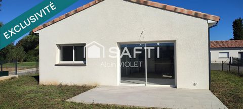 photo no. 12