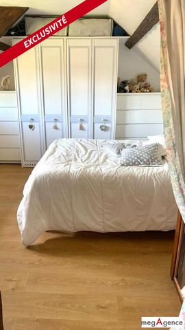 photo no. 7