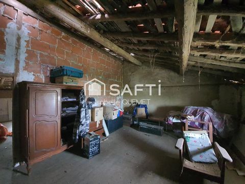 photo no. 12