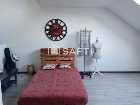 photo no. 9