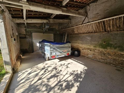 photo no. 12
