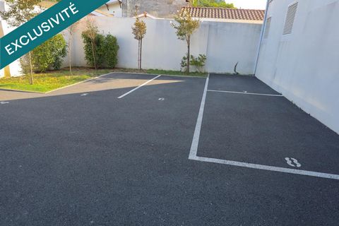 photo no. 10