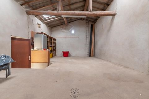 photo no. 6