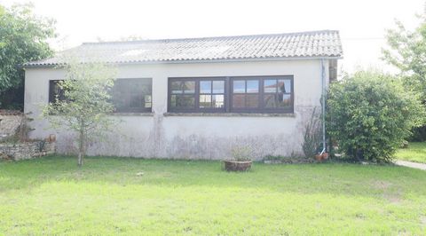 photo no. 12