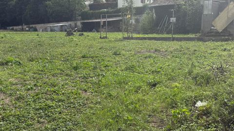 photo no. 3