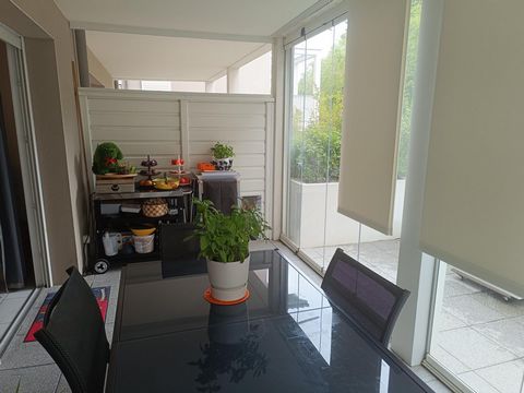 photo no. 12