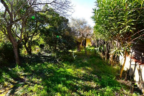 photo no. 18