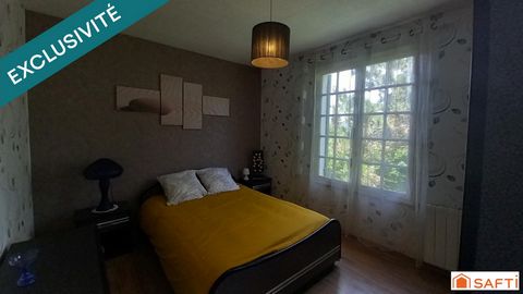 photo no. 15