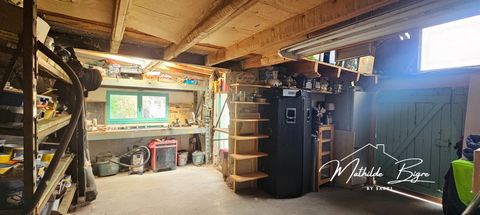 photo no. 16