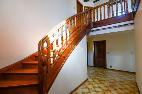 photo no. 16