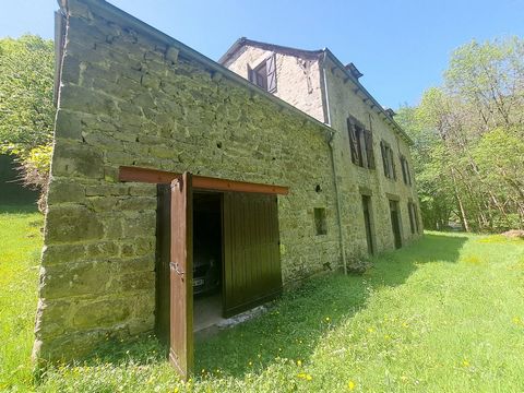 photo no. 17