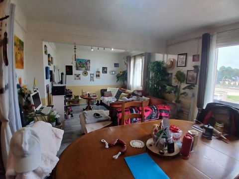 photo no. 5