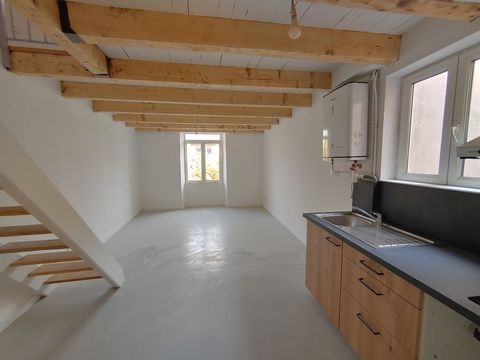 T2 duplex- Centre-ville - MILLAU