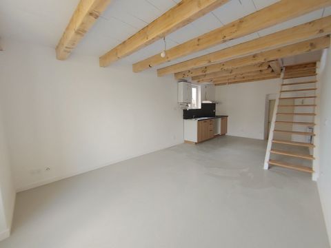 photo no. 2