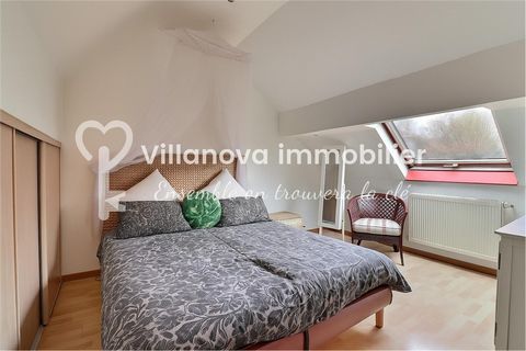 photo no. 6