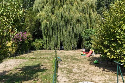 photo no. 17