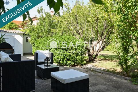 photo no. 13