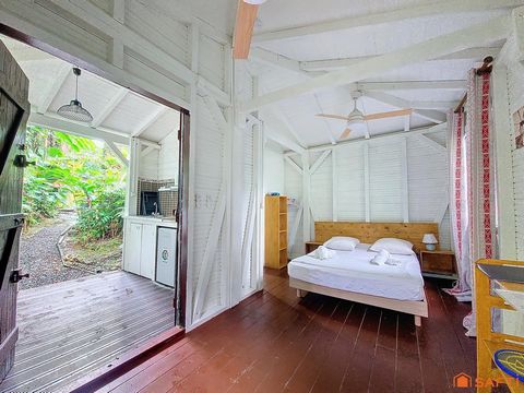 photo no. 19