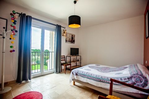 photo no. 11