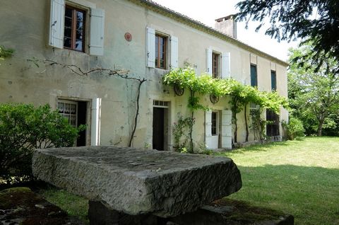 photo no. 2