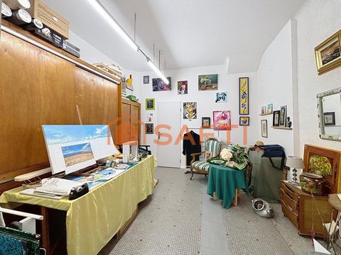 photo no. 12