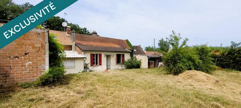 photo no. 14